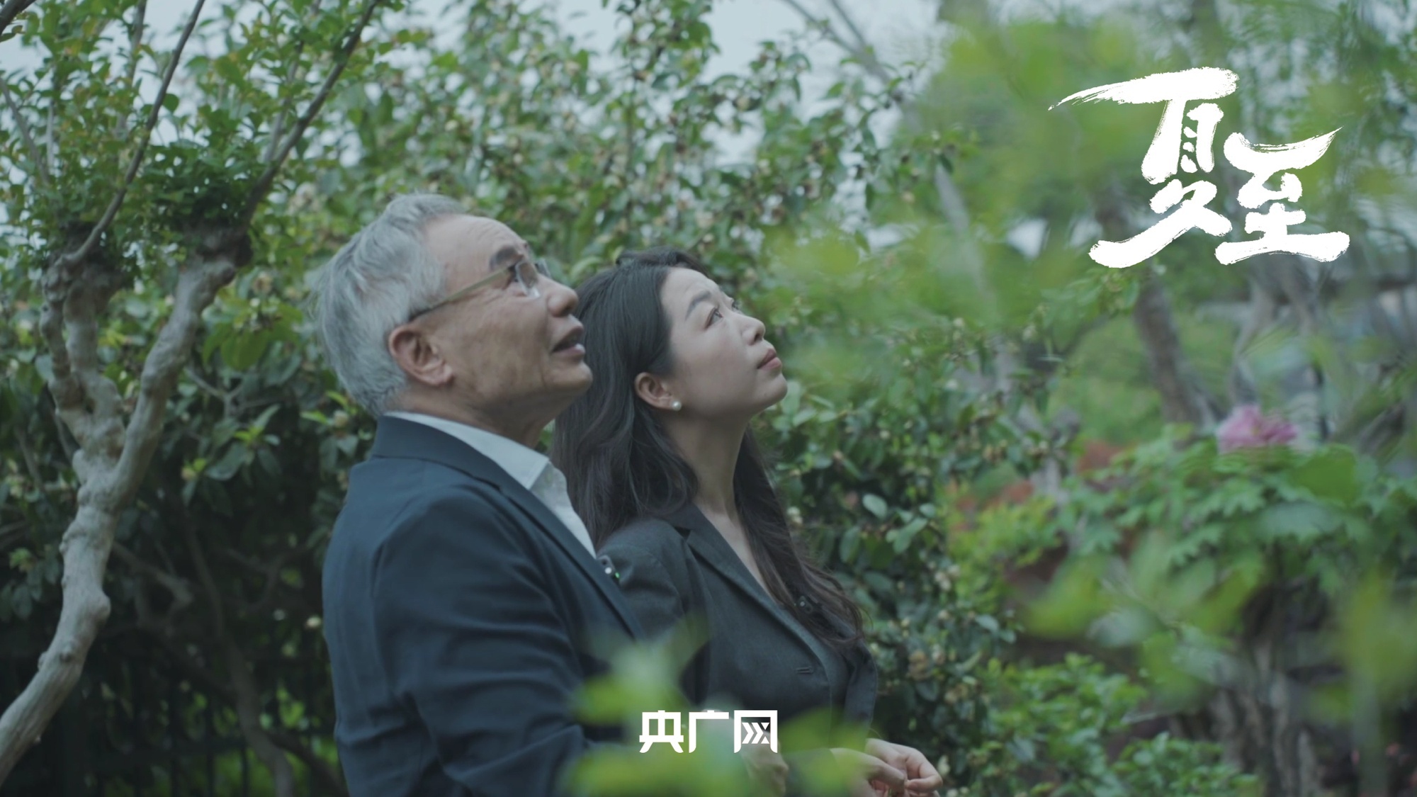 为何欧洲国家空调普及率低?