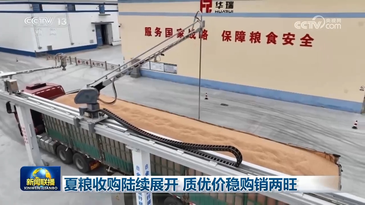 国产短剧已经疯了