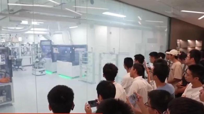 广西发现新物种阳朔风筝果