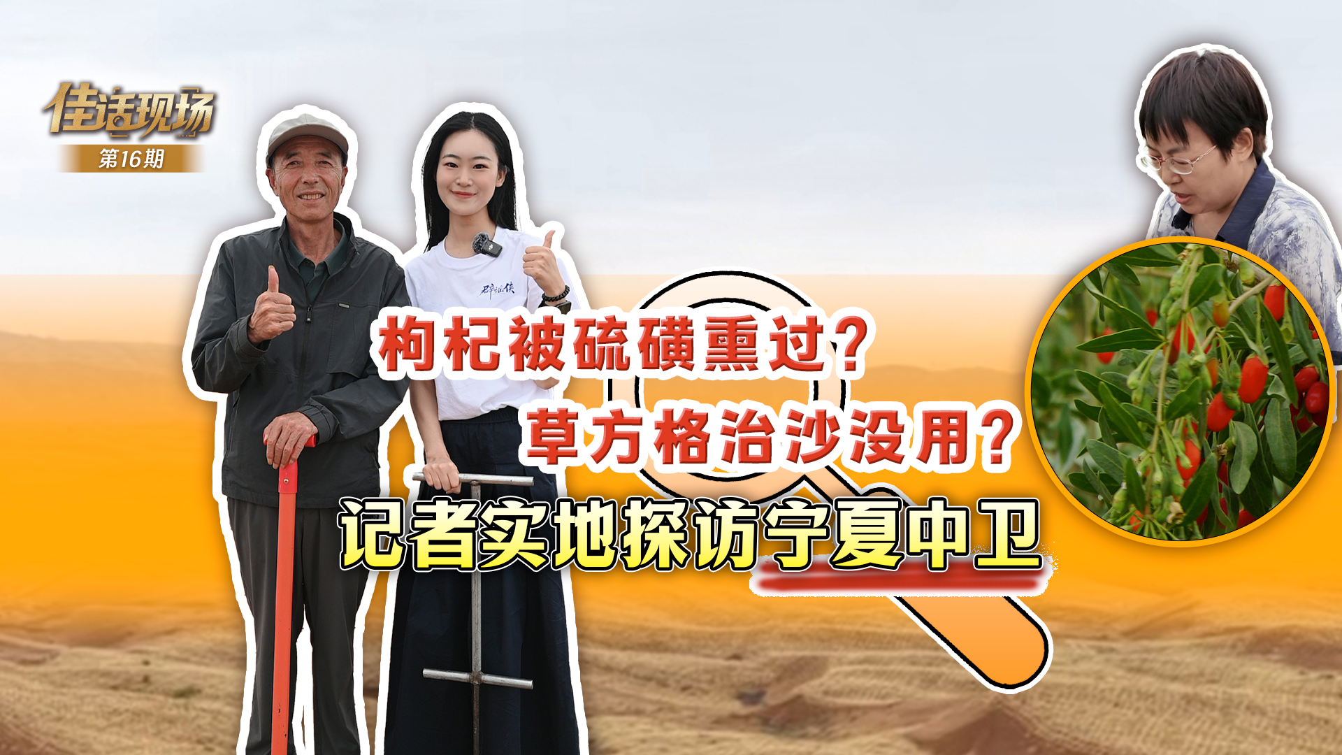 【家国乡情 古韵新潮】龙舟竞渡 端午安康