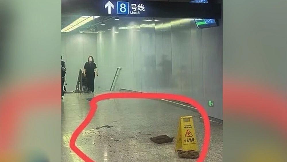 张本智和模仿樊振东模仿姆巴佩