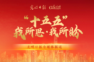王一珩抄袭