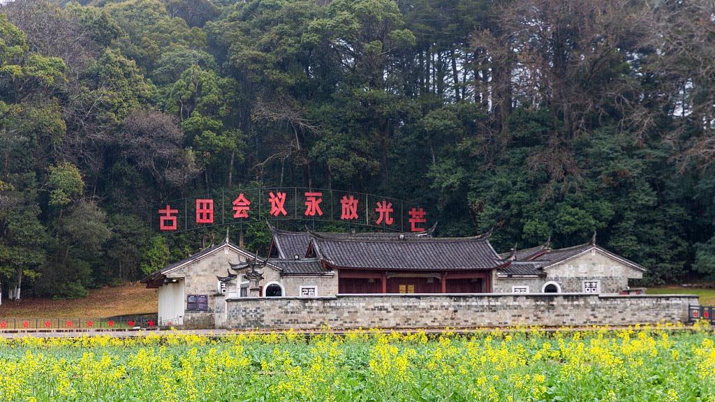 哀牢山发现全球仅千只的鸟