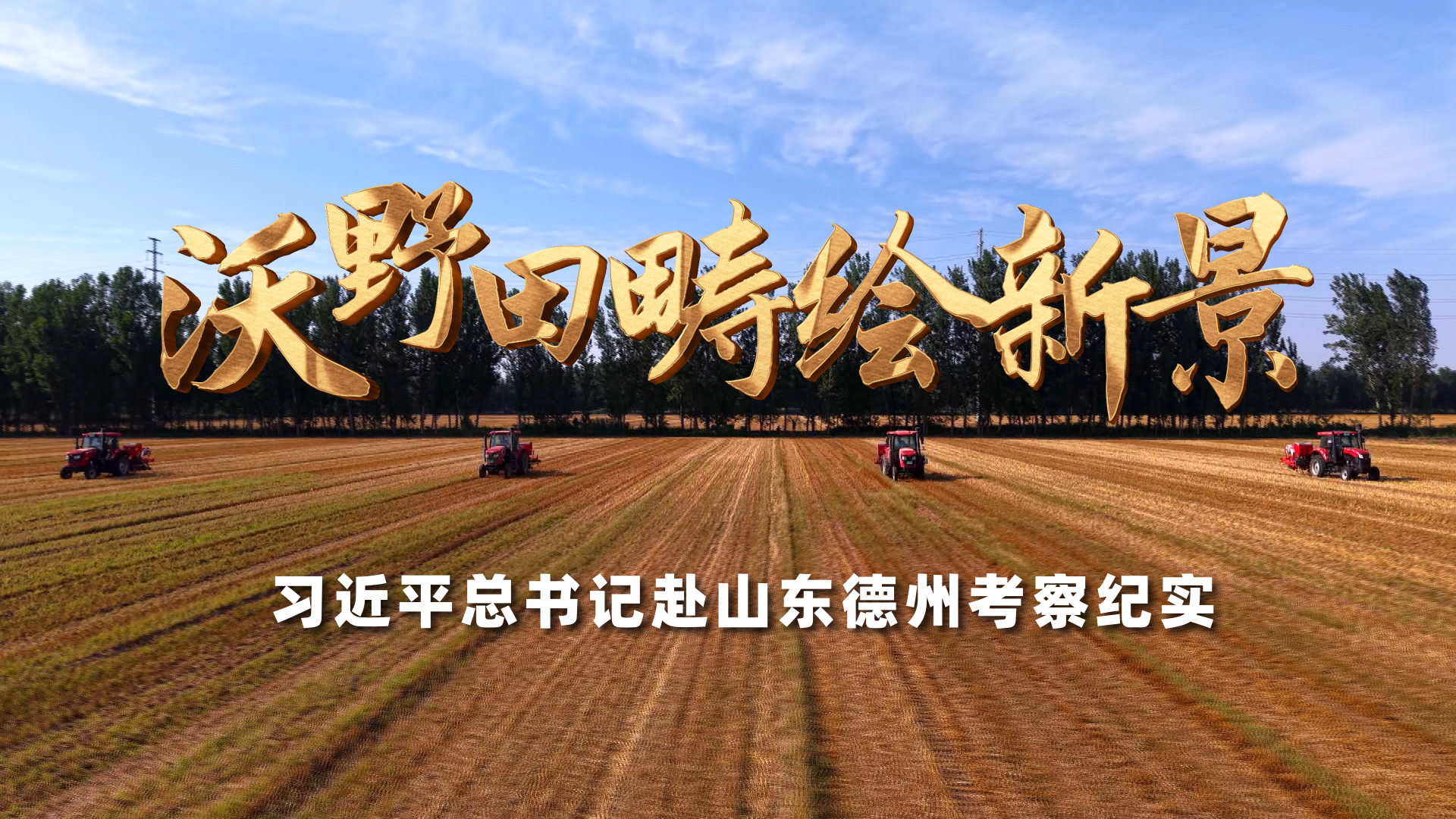 天猫双抄省清单
