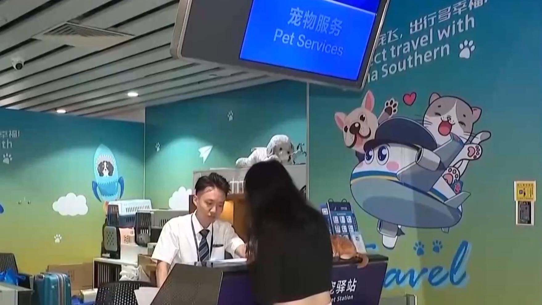 林诗栋张本智和