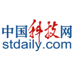 对战