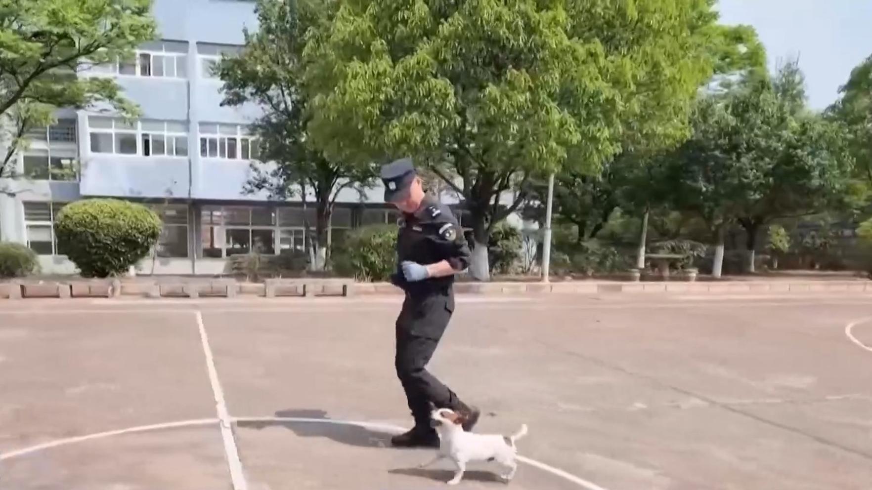 西藏举行2027年度藏传佛教学经僧人晋升格西拉让巴学位夏季预考
