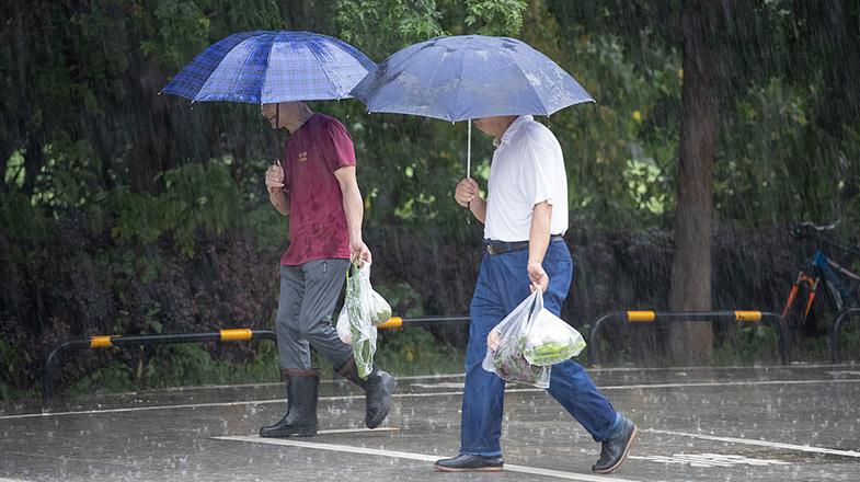 外逃鸡西原副市长涉案逾亿