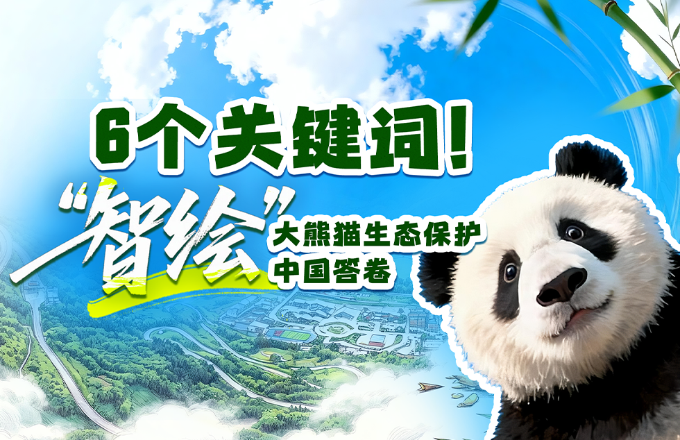 七夜雪全员跳初雪
